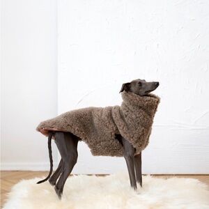 Cozy Brown Dog Sweater